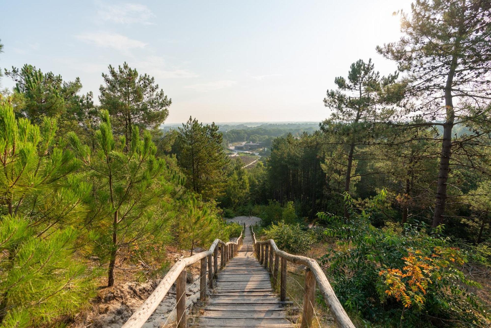 Park Heerehof Ξενοδοχείο Σχόορλ Εξωτερικό φωτογραφία